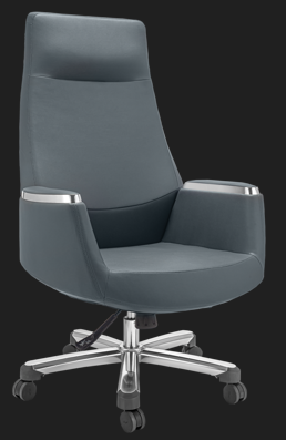 ELVORA Ergonova task chair Delhi premium work seating
